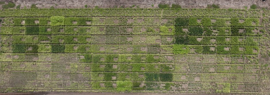 Kuma Ranathungamage tweet media