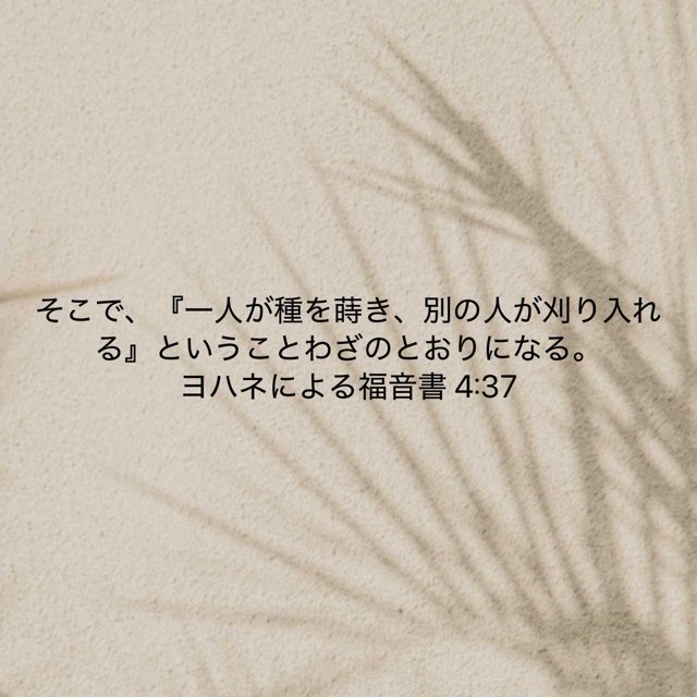 私たちは自分の伝道の実が実るのをこの目で見たいと思う者です。福音の種を蒔いたならば実を刈り取るまで自分がしたい、結果を見て満足したいと思う。でも、伝道の実は、別の人が刈り取り、また私が誰かの蒔いた種を刈り取ることもあるのですね。
飽くことなく神の愛を伝え続けたいです。