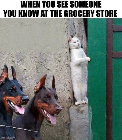 GthTcnsa0AA2UwA