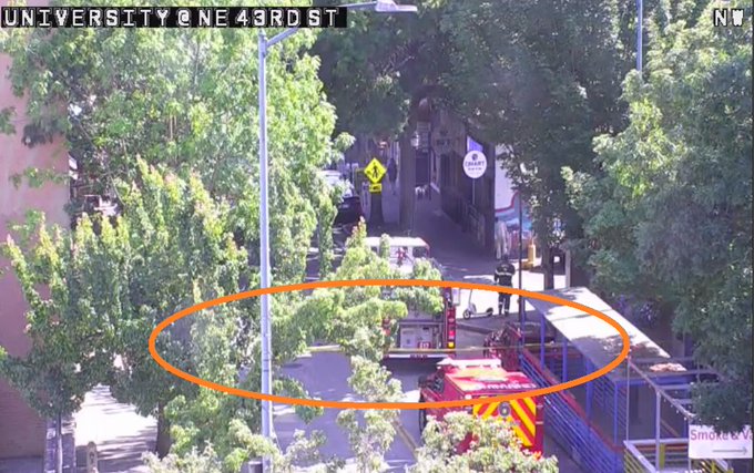 Hoạt động SFD trên Đại học Way NE ( The Ave )