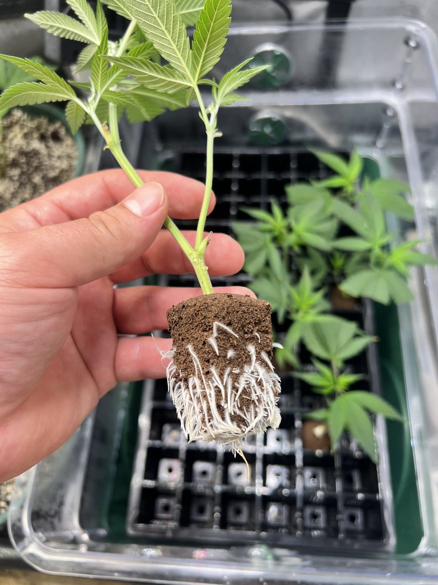 Gotta preserve the fire 🔥