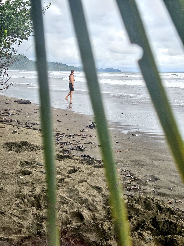 A little weekend away at uvita before I travel out of CR where both <a href="/hyman_dustin/">Dustin Hyman</a> and I chose to picture each other through coconut fronds.