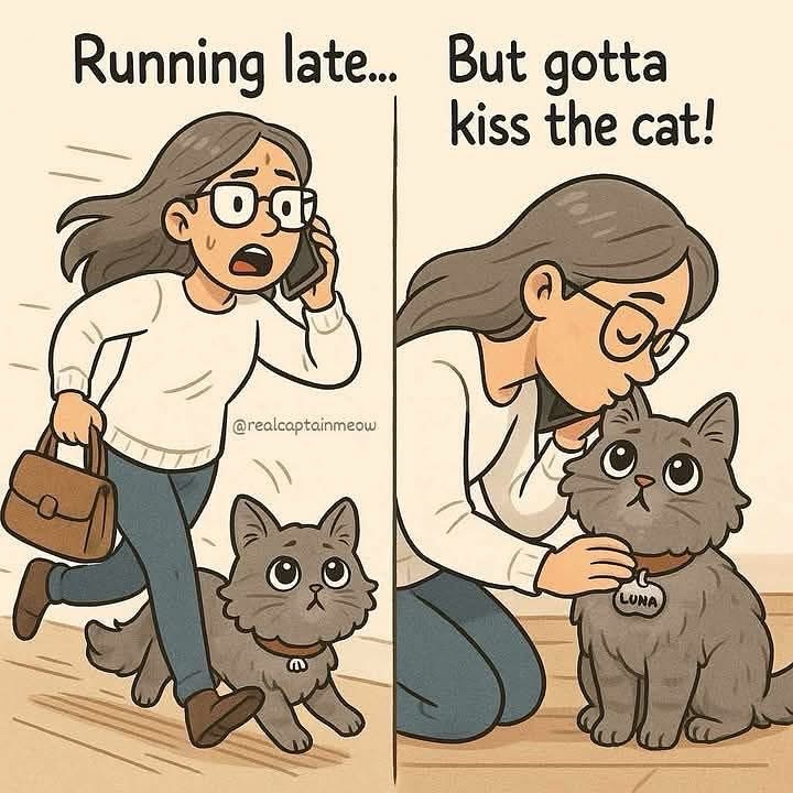 😘♥️🐈‍⬛