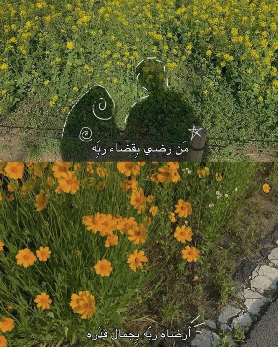fahed44556632's tweet photo. الحمدلله يارب ♥️♥️ https://t.co/jZh3jy15gK