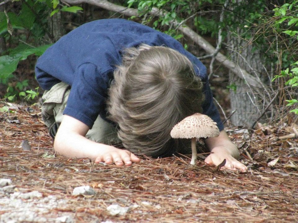 7 year old me worshipping the mushroom
