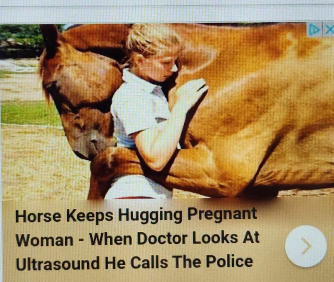 alamo forgetter (@breeezybriiii) on Twitter photo 