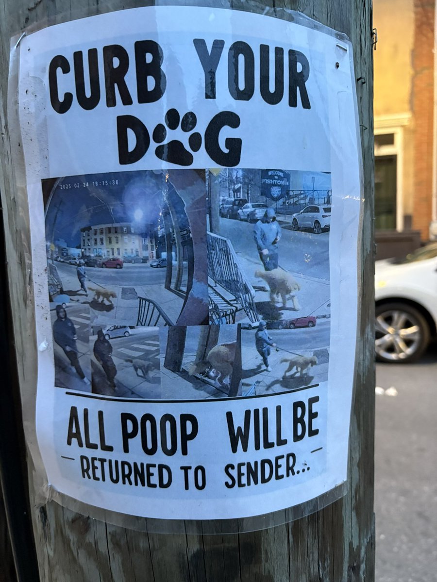 Todd Radom tweet media