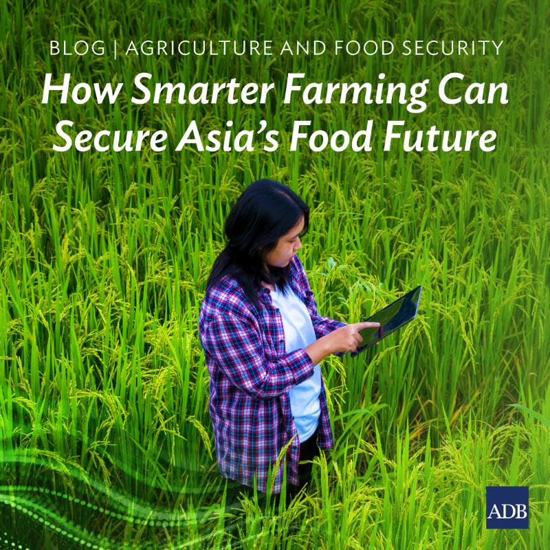 ADB_HQ's tweet photo. 🌾 Smarter farming + river governance = a resilient food future

Learn how sustainable rice innovations can help feed billions while protecting our ecosystems.