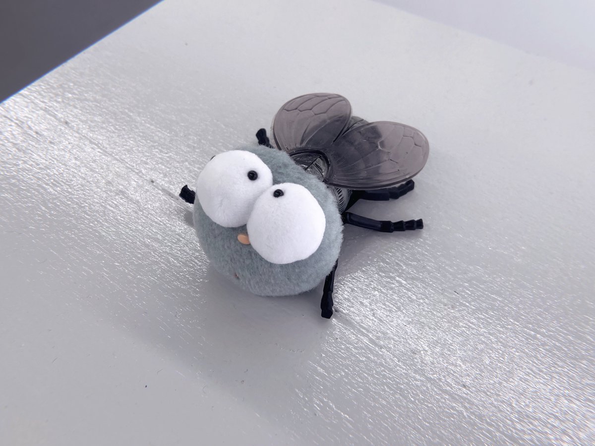 五反田で片岡メリヤスさんの展示見てきました。
「ハエごめんなさい」という名前になったエピソードが衝撃的で忘れられない😂メリヤスさんの作品は唯一無二でいつもワクワクするし、脳みそどうなってるんだ〜っていつもびっくりする。