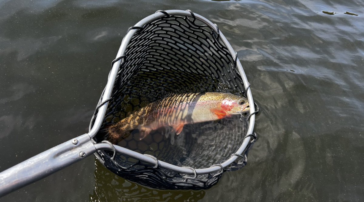 Jack Payne tweet media