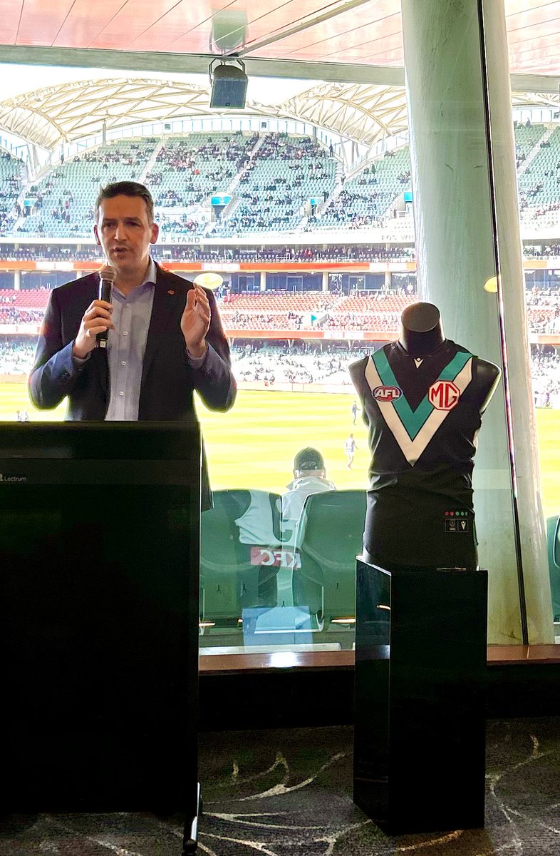 The Power to End Violence Against Women Program run by the Port Adelaide Football Club is an important prevention program, educating year 10 students on the importance of respectful relationships and gender equality. 

The State Government is proud to support it as a key part of