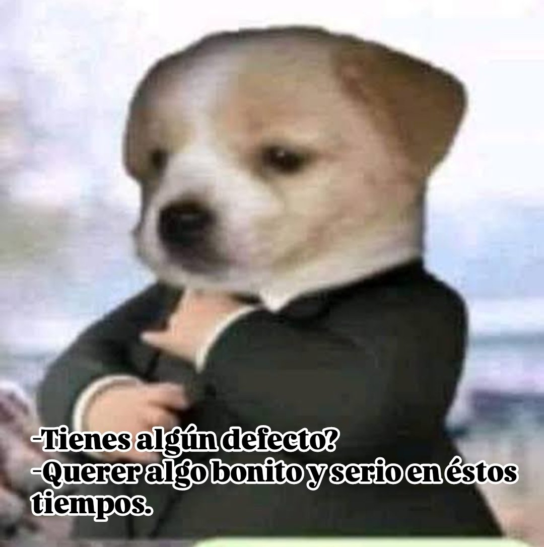 Yo, en una entrevista de trabajo: