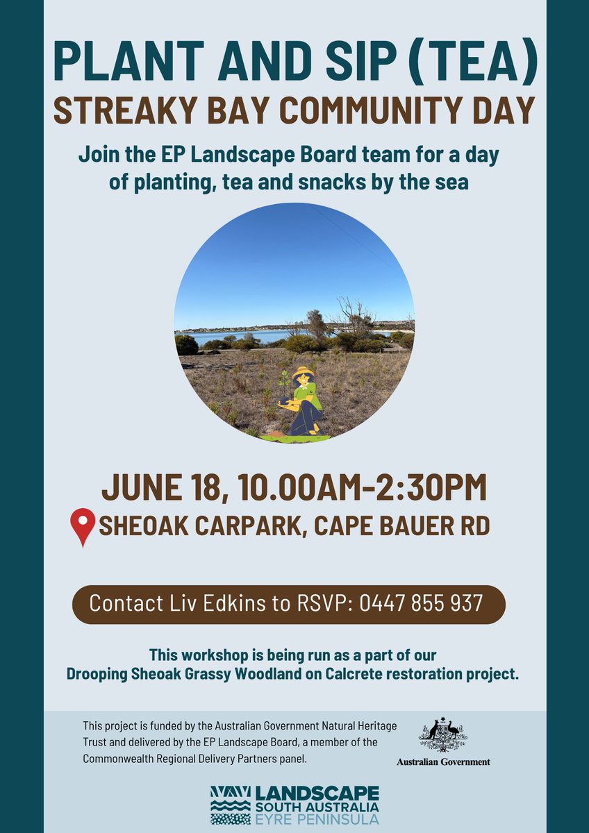 Eyre Peninsula Landscape Board (@eplandscapesa) on Twitter photo 📆🌱We are holding a Plant and Sip (tea) day at Streaky Bay on Wednesday.
If you can make this opportunity to get involved with our drooping sheoak grassy woodland recovery project, RSVP to Landscape Officer Liv Edkins so we'll have enough tea, snacks & plants 📲 0447 855 937. 📆🌱We are holding a Plant and Sip (tea) day at Streaky Bay on Wednesday.
If you can make this opportunity to get involved with our drooping sheoak grassy woodland recovery project, RSVP to Landscape Officer Liv Edkins so we'll have enough tea, snacks & plants 📲 0447 855 937.