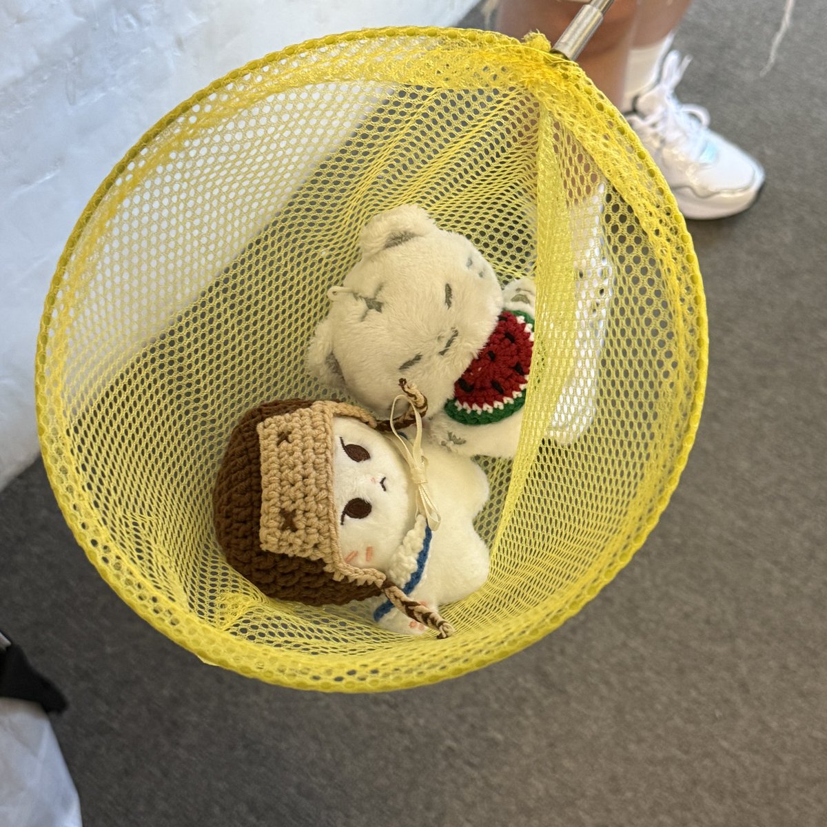 📍하이타운 서울

순영이와 함께하는 여름방학⭐️ 정말,, 쥑이 많았고,, 귀여웠고,, 잠자리채에 쥐..아니 호시도 잡아보았다~😆

#별의_방학일기