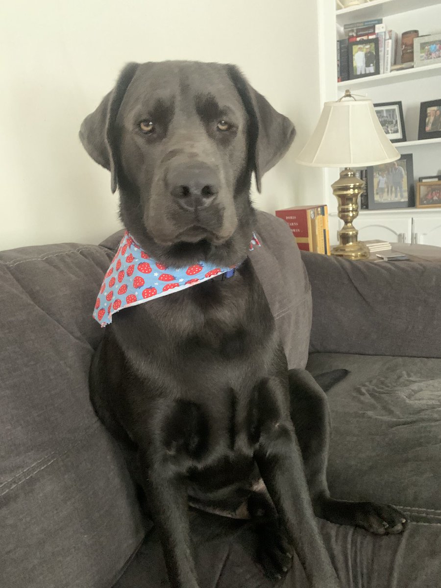MattOberlander5's tweet photo. @BlueJacketsNHL @JetsPizza Boone says Happy Birthday to Boone! https://t.co/nqmLdDkLmw