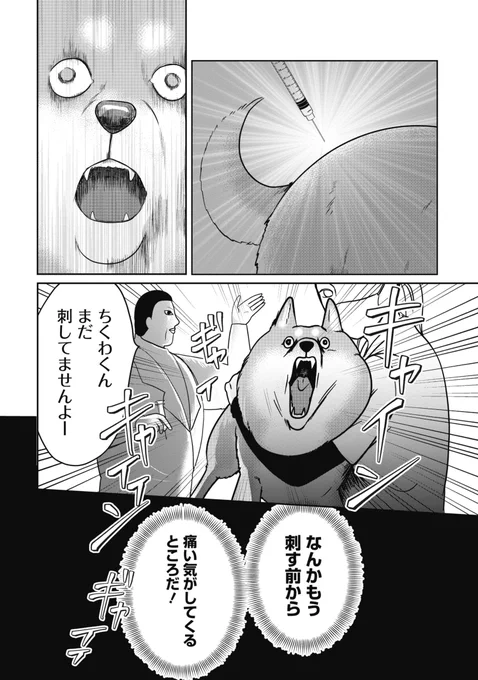 予防接種を勘違いしてる柴犬(2/5) 