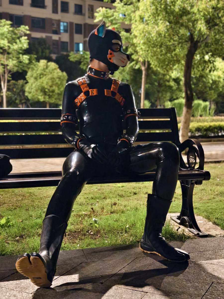 Happy #InternationalDayOfLatex
📷<a href="/latexsheepccx/">青野大葱</a>