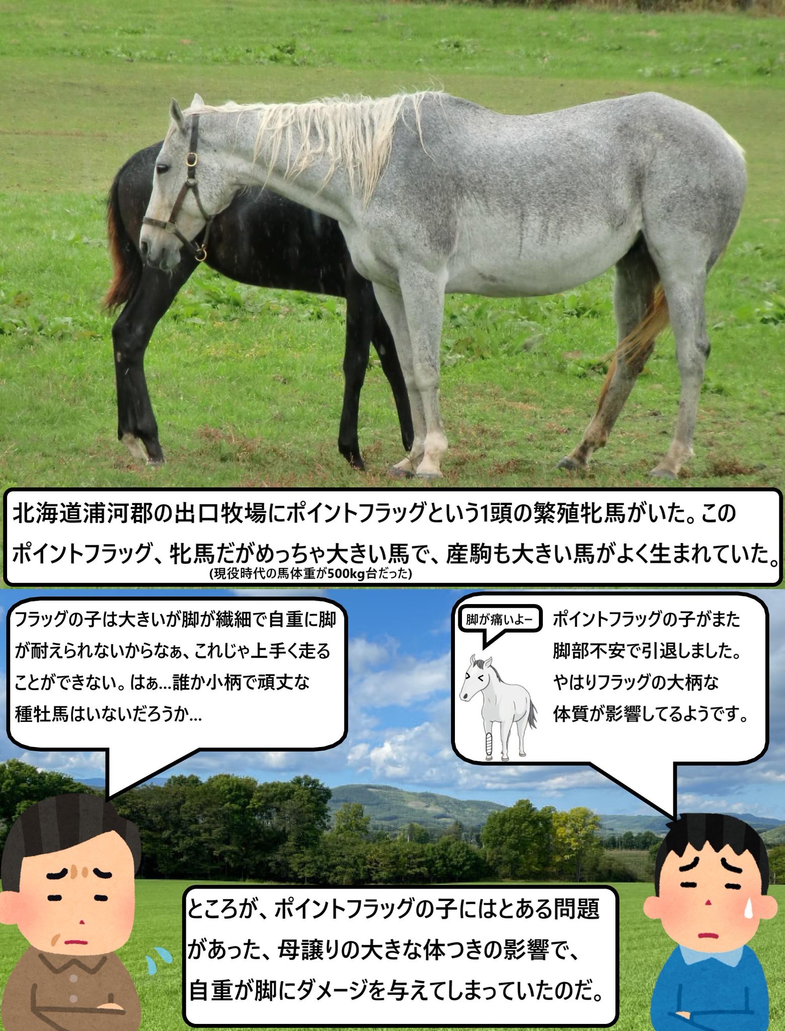 ゴールドシップの母　ポイントフラッグ　新馬戦 ハルカの競馬ちゃんねる🏇 on X: 