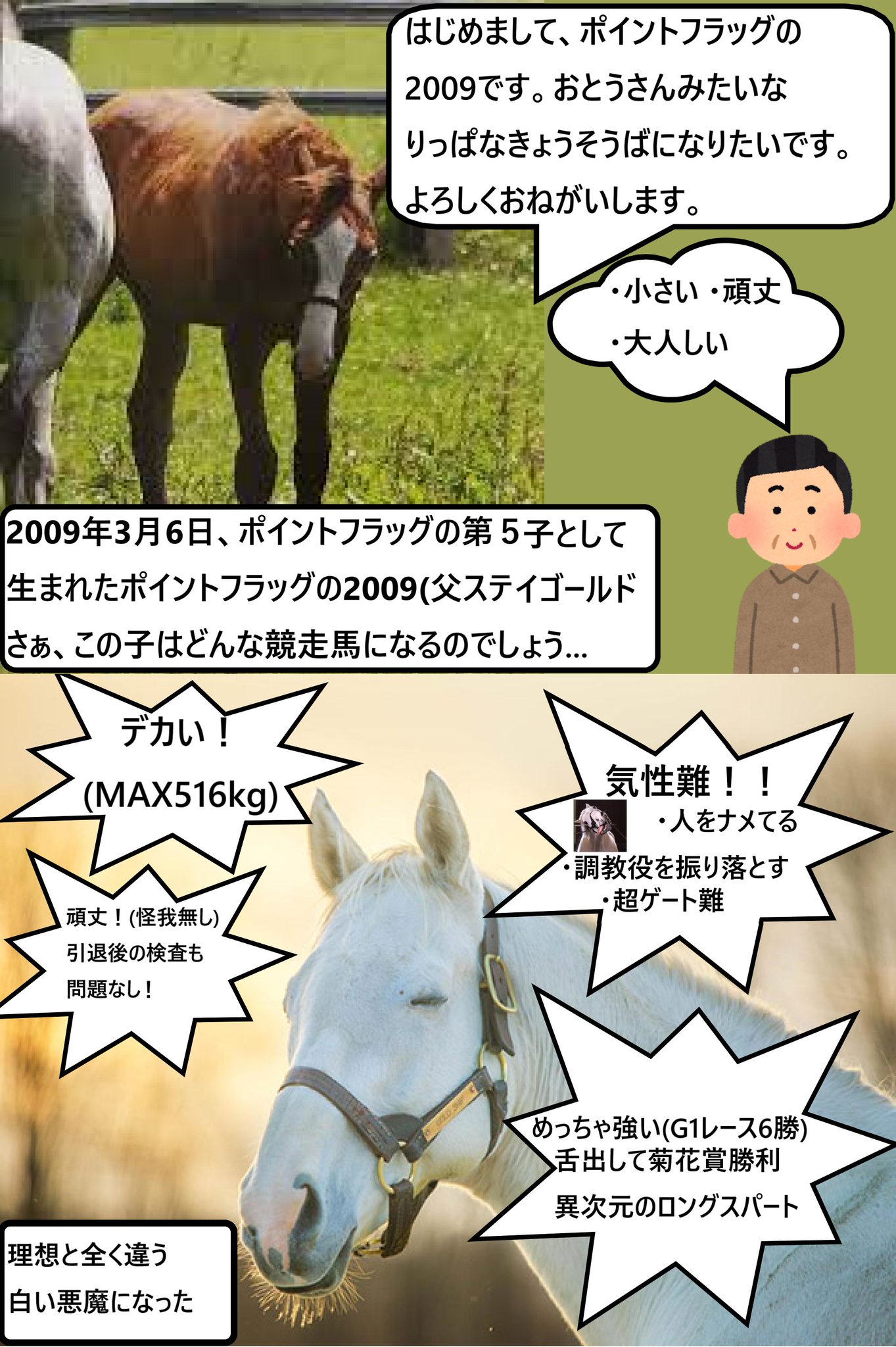 ゴールドシップの母　ポイントフラッグ　新馬戦 ゴールドシップの母 ポイントフラッグ 新馬戦