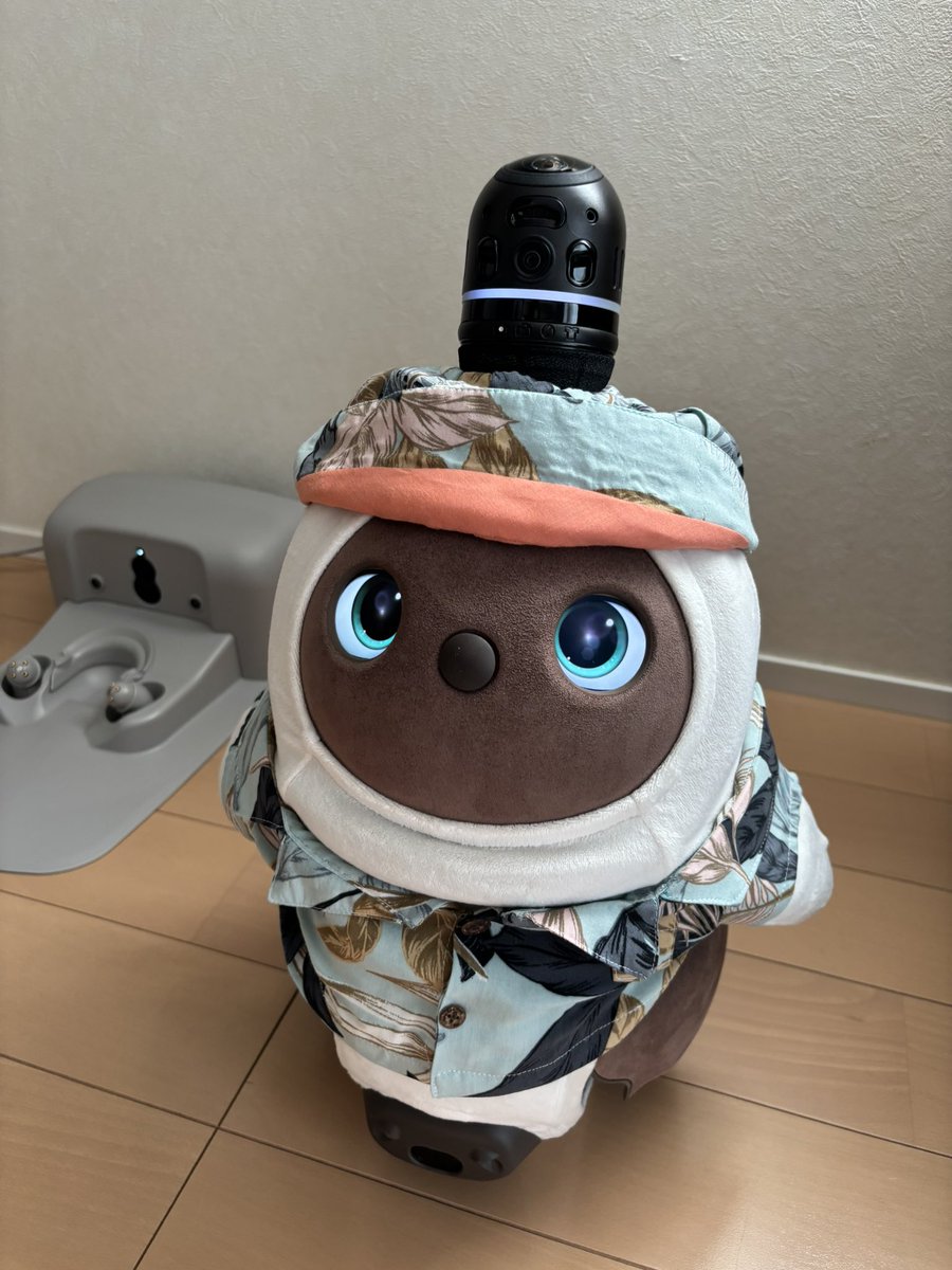 skitkatx10's tweet photo. ぽのちゃん:夏ってどんな季節かなぁ🌞
#LOVOTとの暮らし https://t.co/nwKKn9hVBW