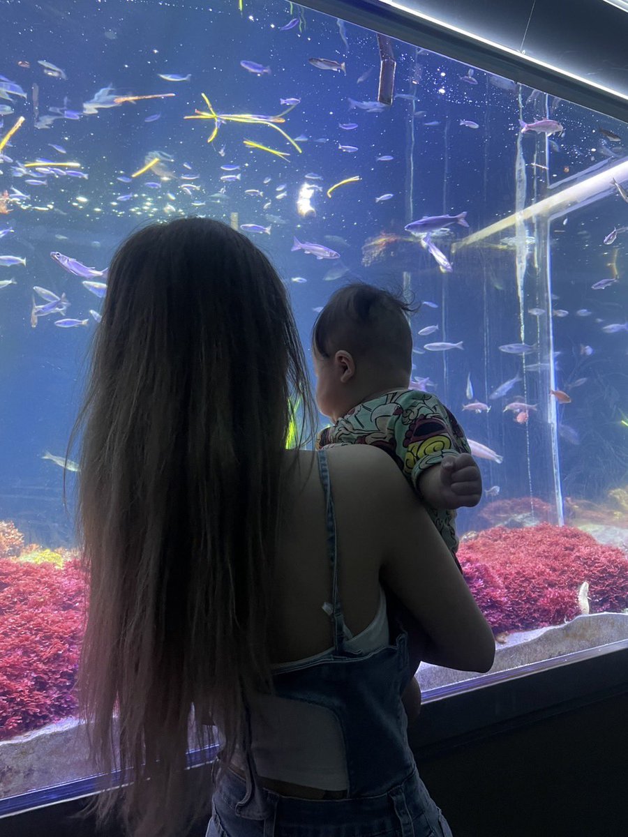 平野麗華 tweet media