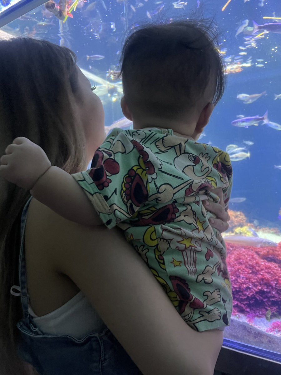 平野麗華 tweet media