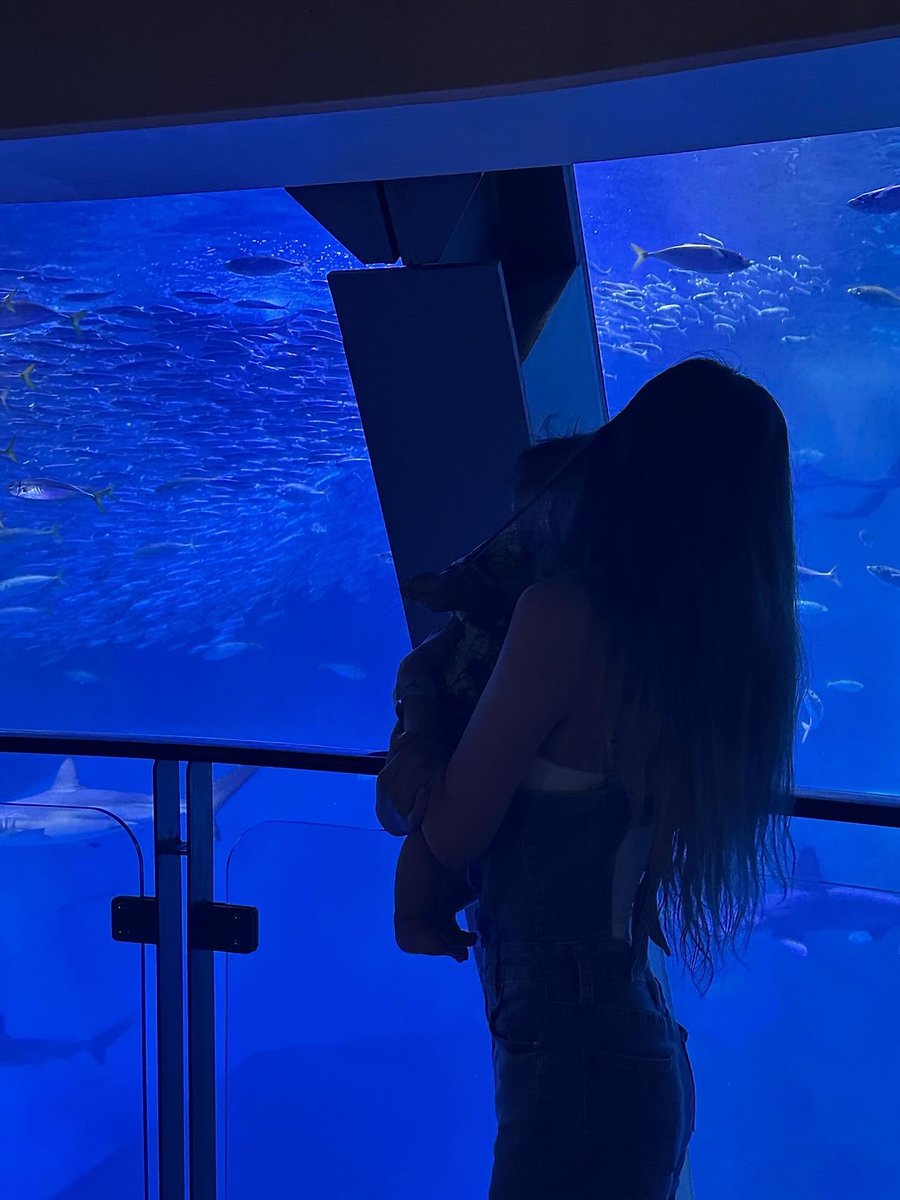 平野麗華 tweet media