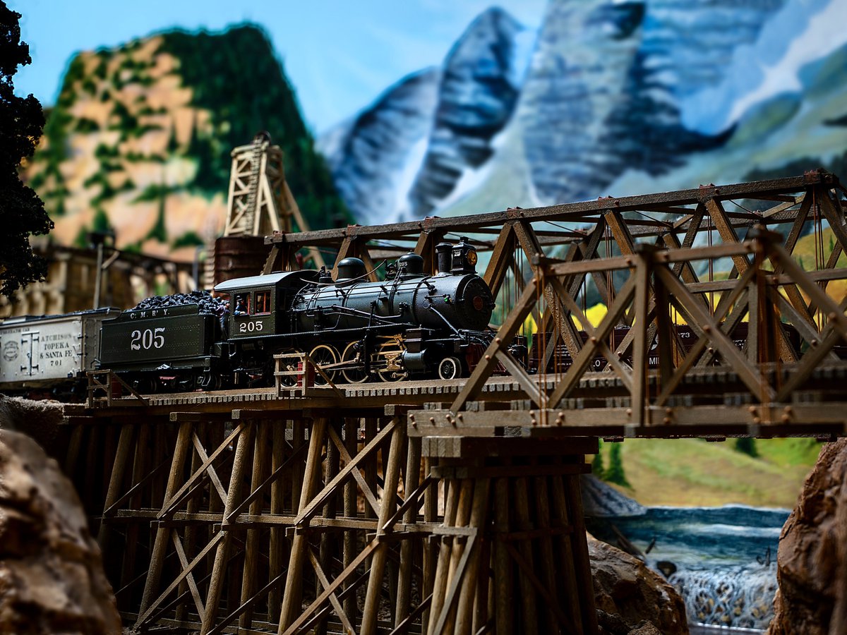 Kelly Kerr tweet media