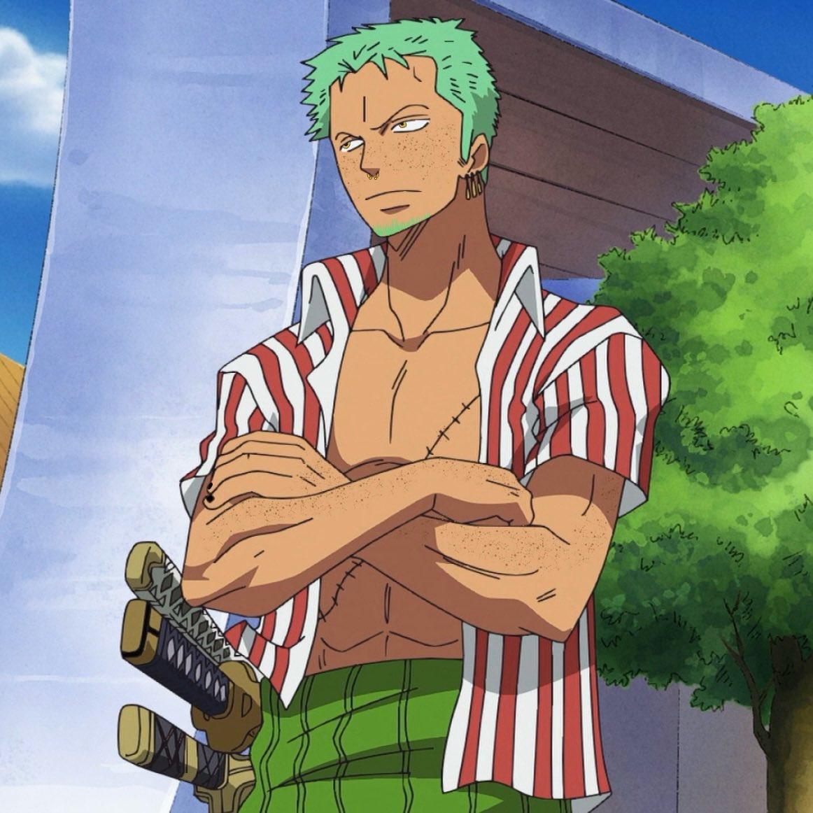 ㄒ卄乇 爪卂尺丨爪ㄖ (@wano_santoryu) on Twitter photo 