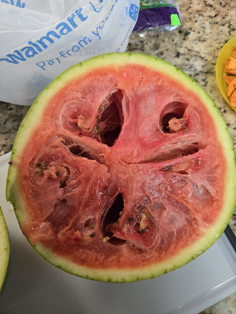 Optomitron tweet media