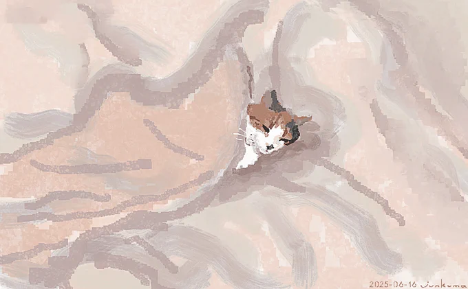 ねんねこ