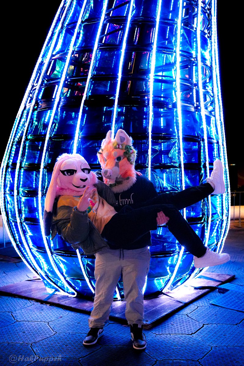 Woah cool lights cool lights

📸<a href="/HakPuppeh/">HakPuppeh</a> 
🐰 <a href="/HopperHops_/">Hopper</a>