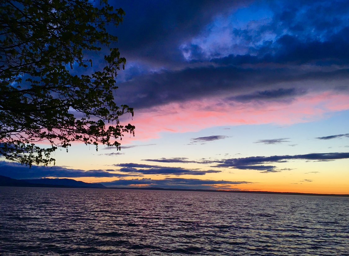 Goodnight from the Puget Sound 💫🐳