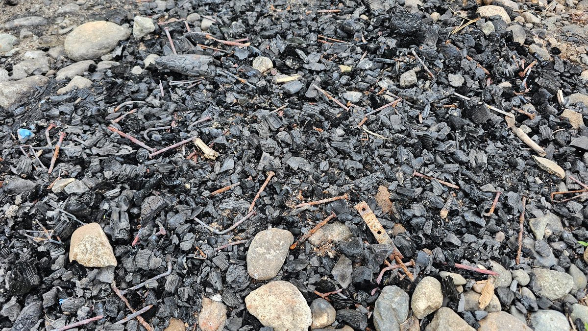 これ、よーく見てください。

清掃活動中に片付けた焚き逃げの写真です。
釘が沢山落ちています。

キャンプやバーベキューだけではなく、産廃を燃やしに来る悪質業者もいます。
パレットの廃材や家具などを釘を抜かずに禁止されている直火で燃やすとこういうことになります。