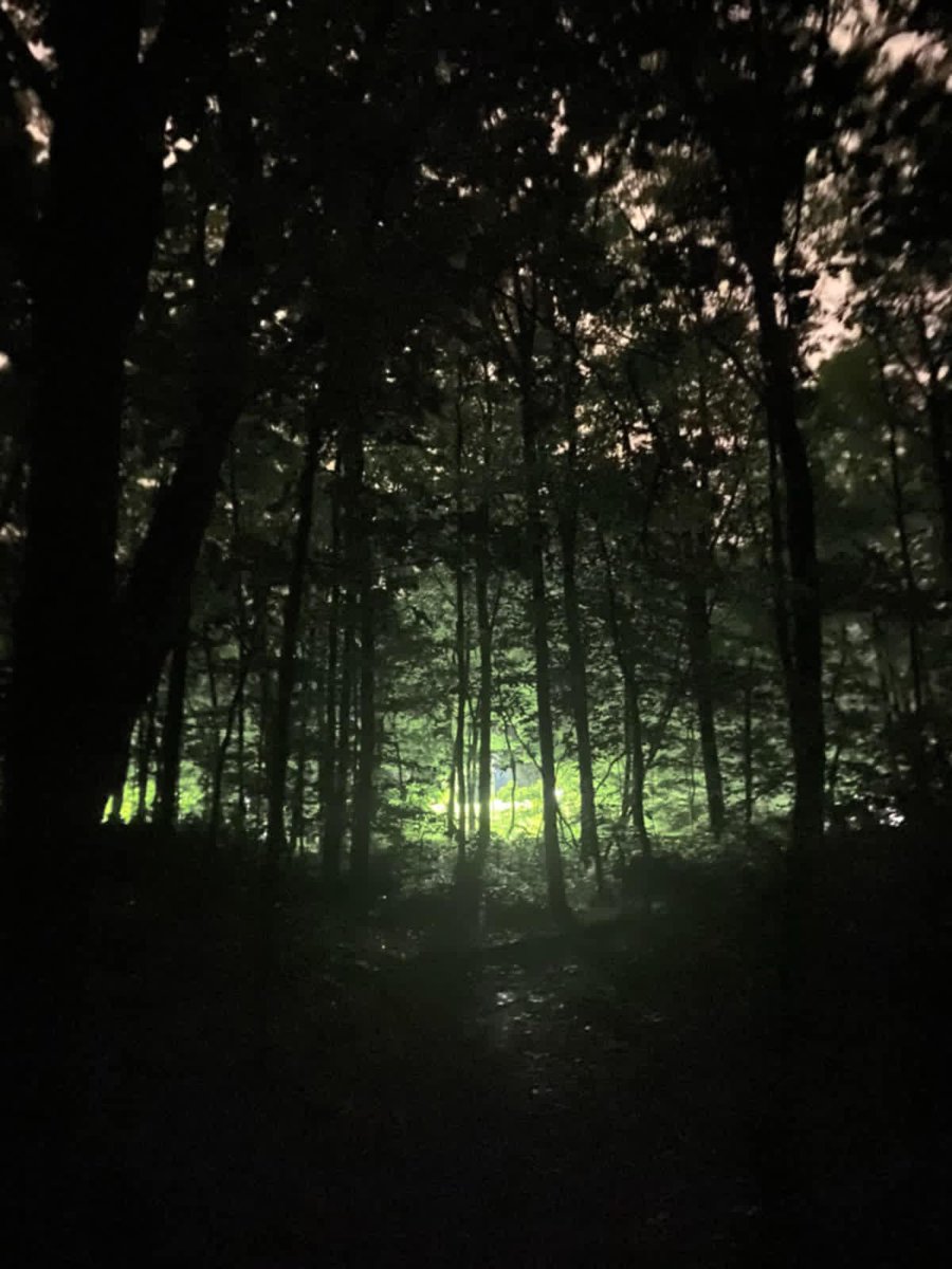 WKMURadioPod's tweet image. 🌟 Late-night Forest vibes! 🌲✨ My cohost @BlueWKMU snapped this eerie yet magical shot in the woods last night. Who else loves a midnight adventure? 🌙 #ForestMagic #NightExploration #CohostAdventures #NatureLovers