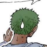 daily round mossy zoro content