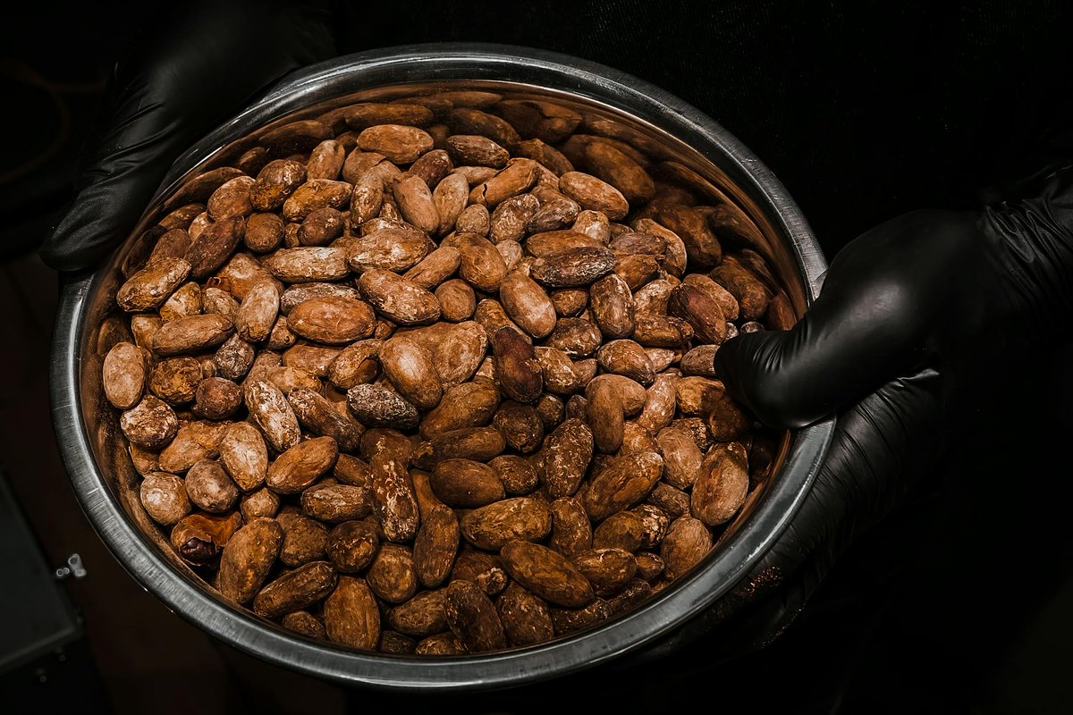 Lesley327482325's tweet image. Freshly roasted almonds with a hint of sea salt—crunchy perfection!����Try roasting at 350°F for 10-12 mins for that golden glow. What's your fave nut to roast? Share below! #NutRoasting #HealthySnacks