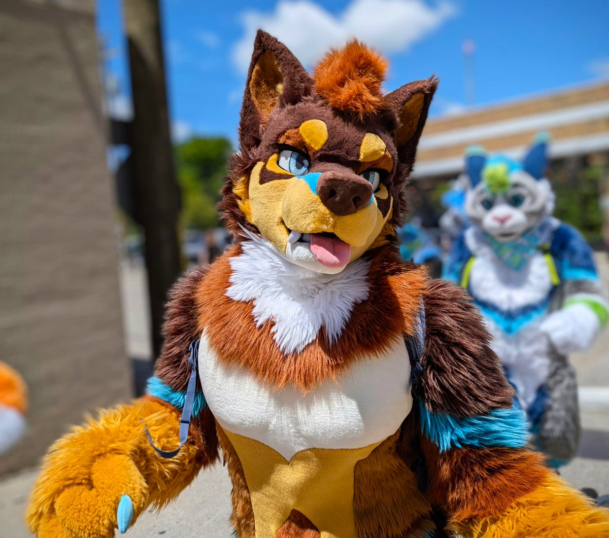 Ludwig Ceridwen 🔞 (@bigcat_energy) on Twitter photo Happy father’s day ❤️ sending all the dads big hugs and smoochies 🥰
#FursuitEveryday Happy father’s day ❤️ sending all the dads big hugs and smoochies 🥰
#FursuitEveryday