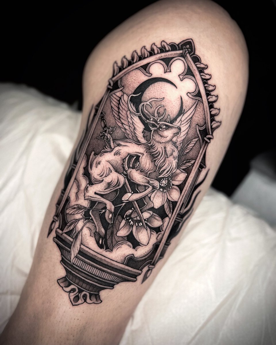 kayseeshuster's tweet image. Did dis stag today