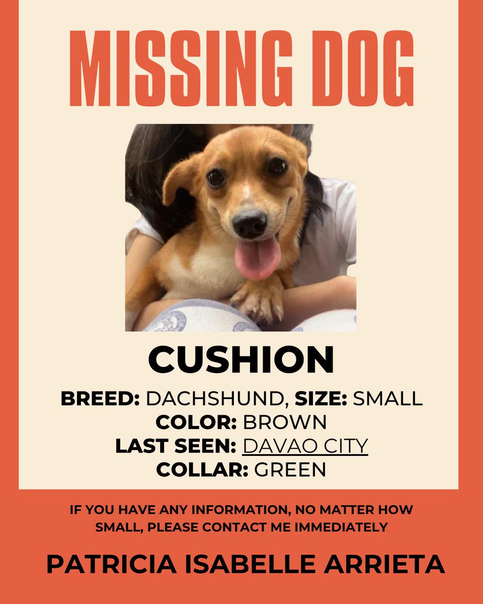 HELP THE FAMILY GET REUNITED!

Cushion is currently missing and the family is out looking for their beloved pet. The family was moving from Sasa to Bangkal. There is no specific information where Cushion got lost. Please help circulate the post to find Cushion. 

You can DM me.