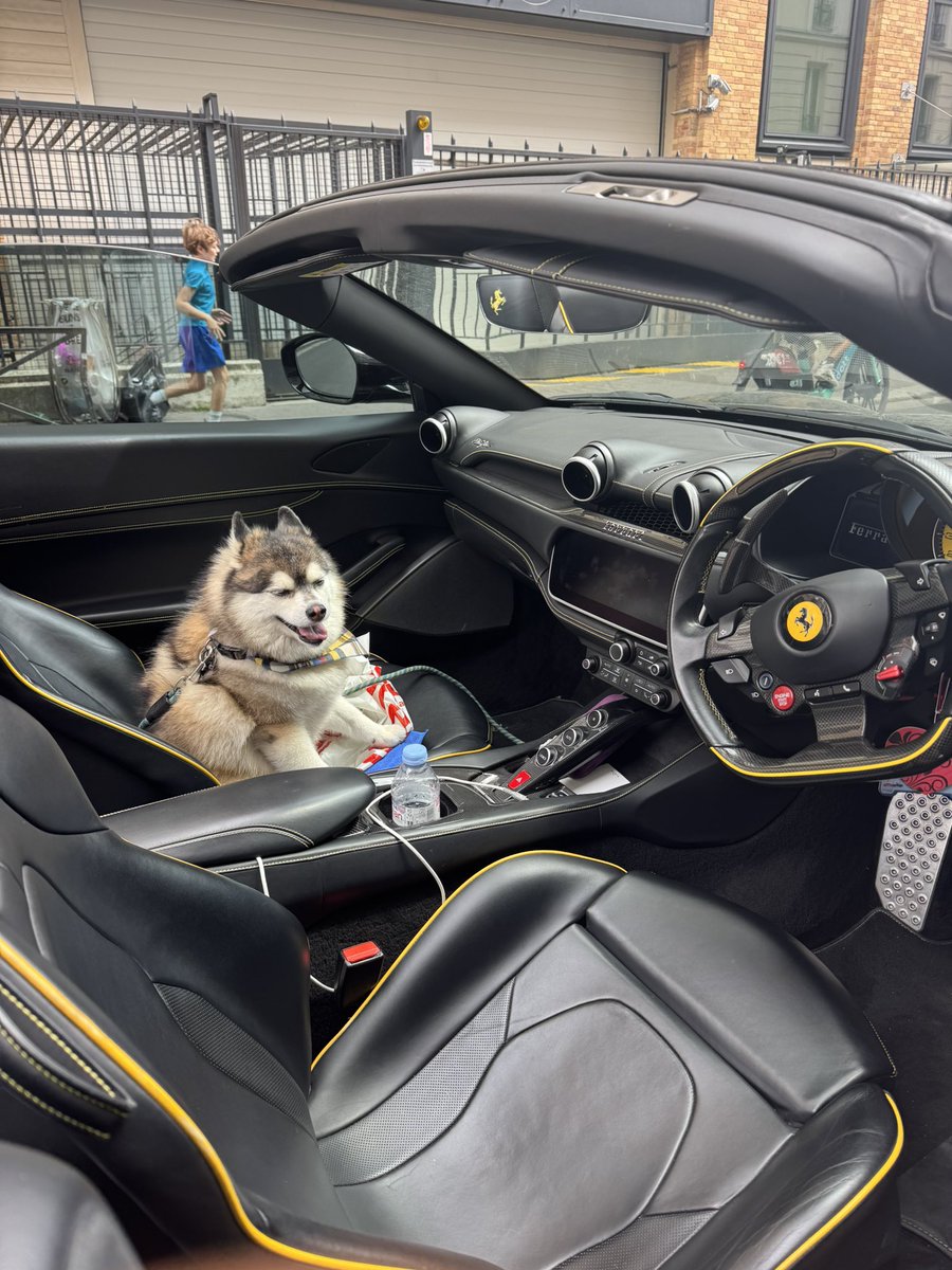 pgsilverX's tweet image. The dog wanted a burger but after I took the first bite of mine I ate his too. 
He stays on a strict diet which saves me $47 a month to buy more $btc.