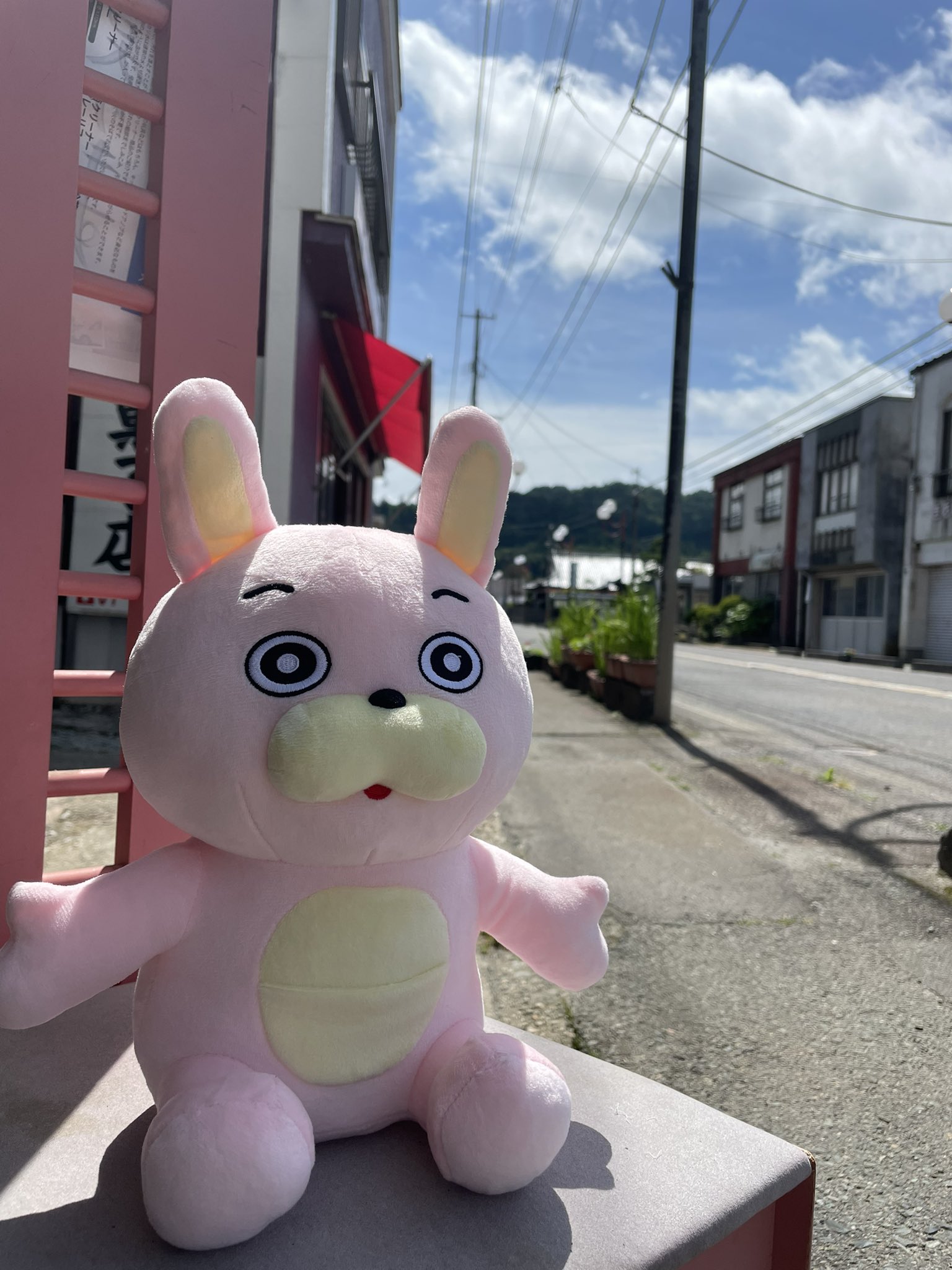 桃色ウサヒ グッズまとめ売り 桃色ウサヒ グッズ まとめ売り 山形県朝日町 （近江屋のさどっ