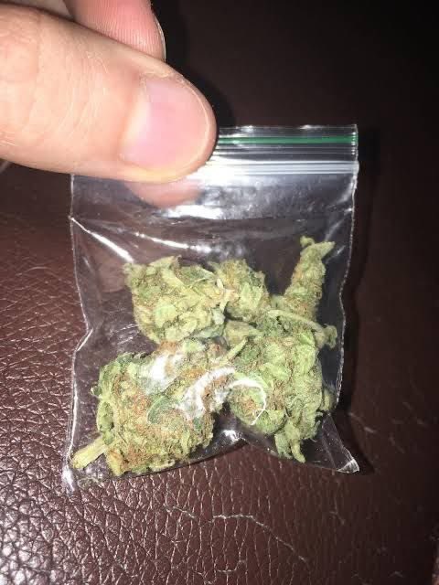 STONERS R US 🍃 tweet media