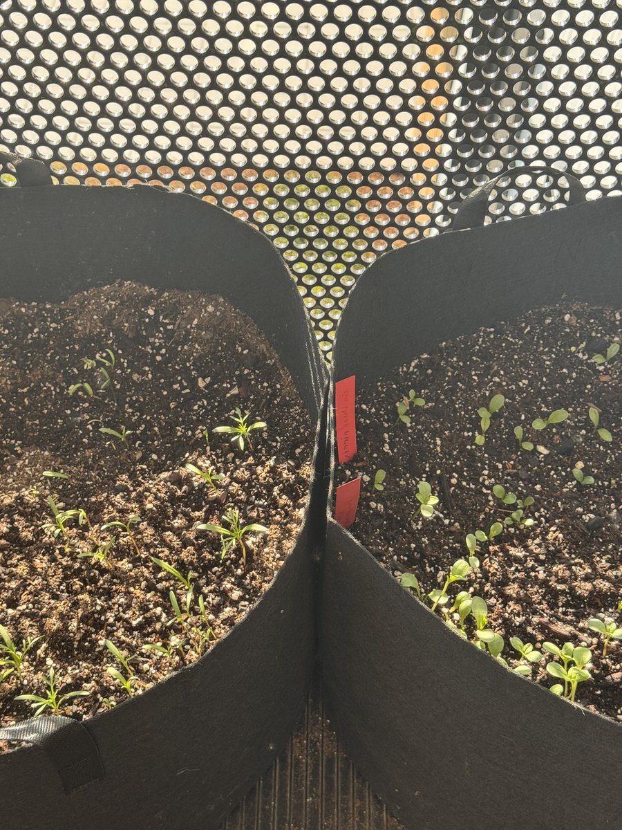 “i need therapy”

the therapy: