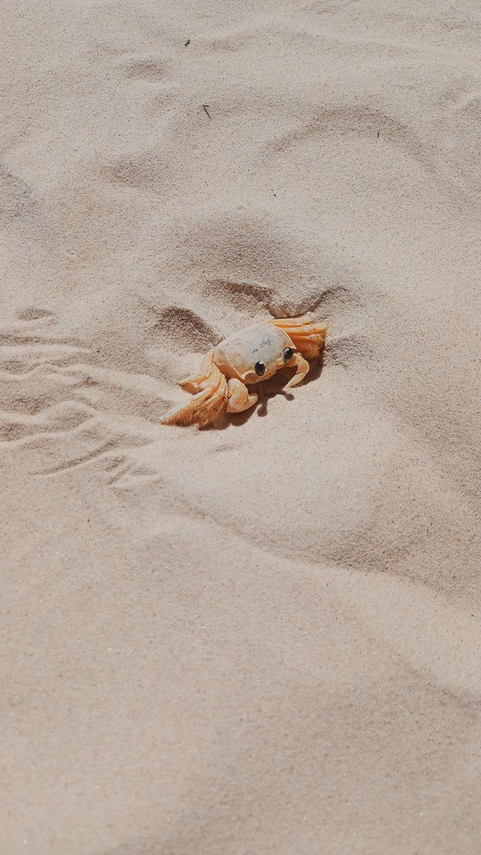 euddiniz's tweet image. 🤌🏼❤️