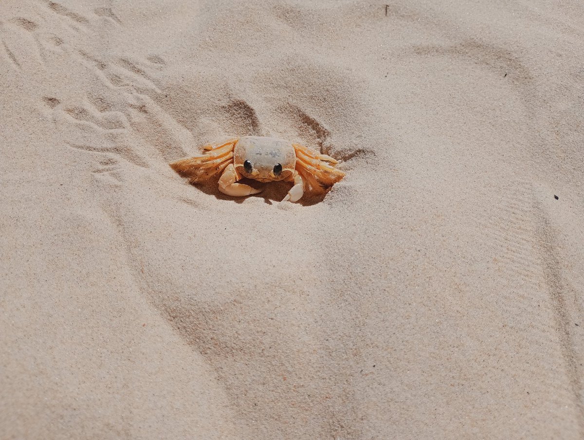 euddiniz's tweet image. 🤌🏼❤️