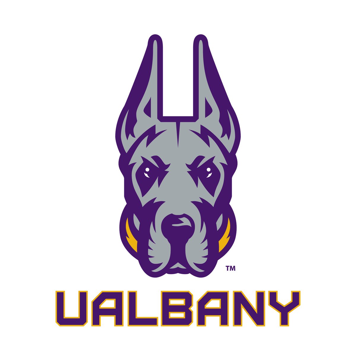 elijahcolon_1's tweet image. After a great conversation with Coach Killings, I am blessed to receive my first Division 1 offer from the University of Albany. #gogreatdanes 💜💛