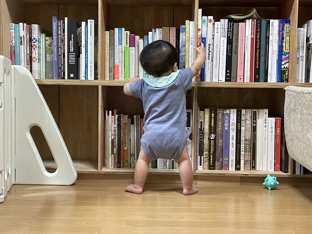 本と本棚を食べはじめた。