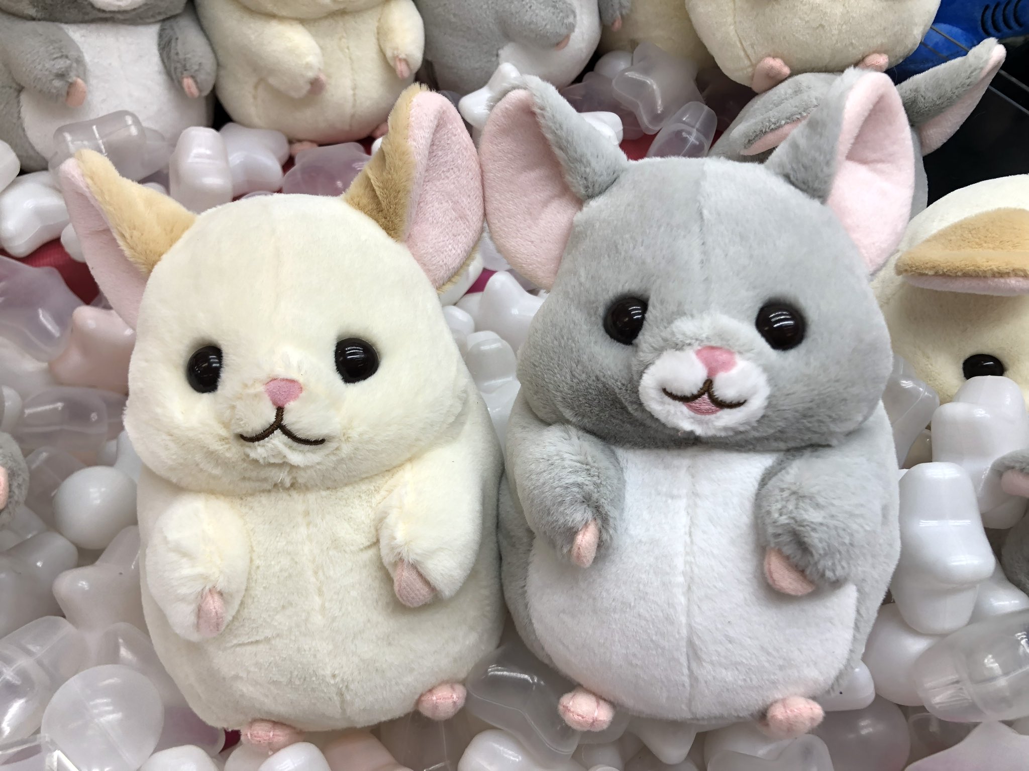 チンチラのララちゃん ころりんギミック 2種セット×7セット チンチラのララちゃん ころりんギミック 2種セット×7セット