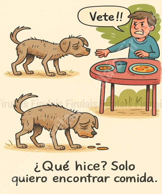 Sé_feliz 🥳 (@uminsaab) on Twitter photo 
